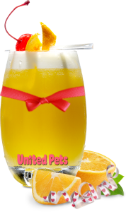 a glass of refreshing orange juice